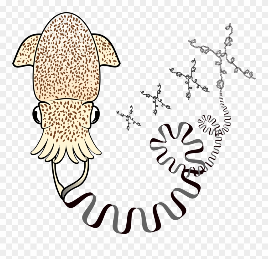 Oleg Simakov, Wai Yee Wong, Elena Ritschard, Hannah - Illustration Clipart