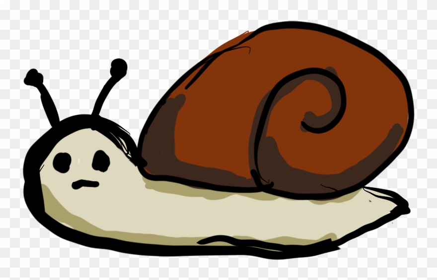 Snail Eating Algae Clipart