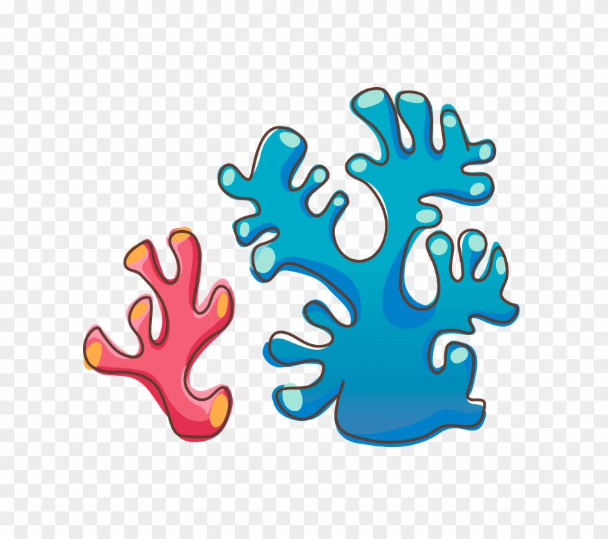 Corals - Corals For Kids Clipart