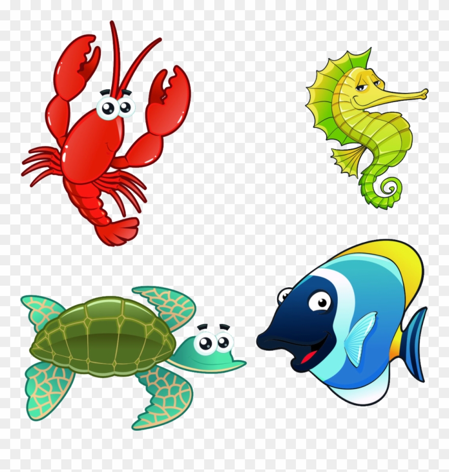 Aquatic Animal Marine Illustration Fish Aquarium Fishaquarium - Animal Live In The Sea Clipart
