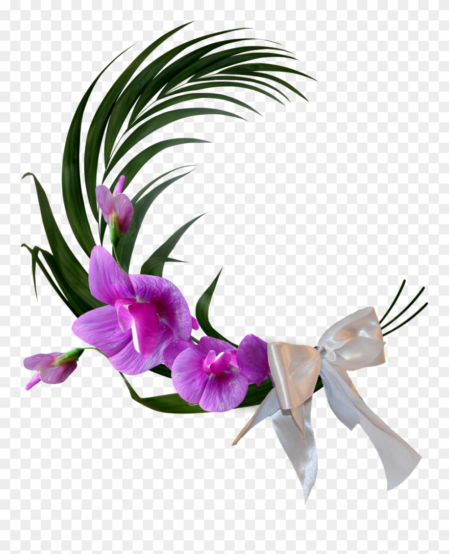 Clip Art - Sapato Florido Mensagens De Boa Noite - Png Download