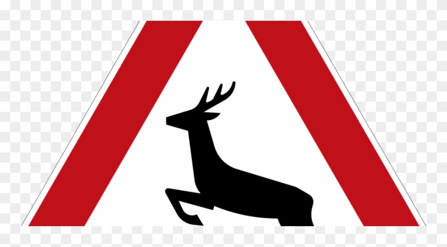 Wildunfälle Vor Allem Im Herbst Und Winter - Gebraucht: Antijagdtraining. Wie Man Hunde Vom Jagen Clipart