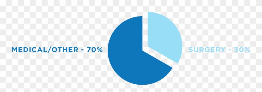 Sca Enables Health Plans To Improve Quality, Access - Circle Clipart