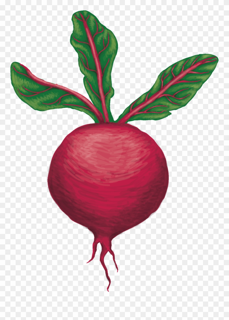 Asuw Sfc - University Of Washington Clipart