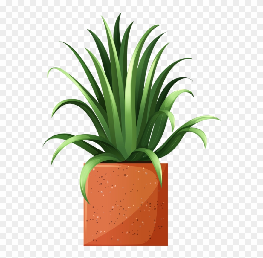 Clip Art Of Beautiful Plants For The Spring Garden - House Plant Clip Art - Png Download