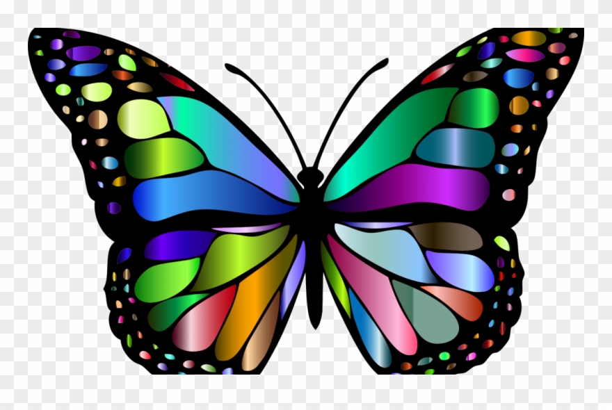 Trans Identity Border Crossing - Butterfly Insect Clipart