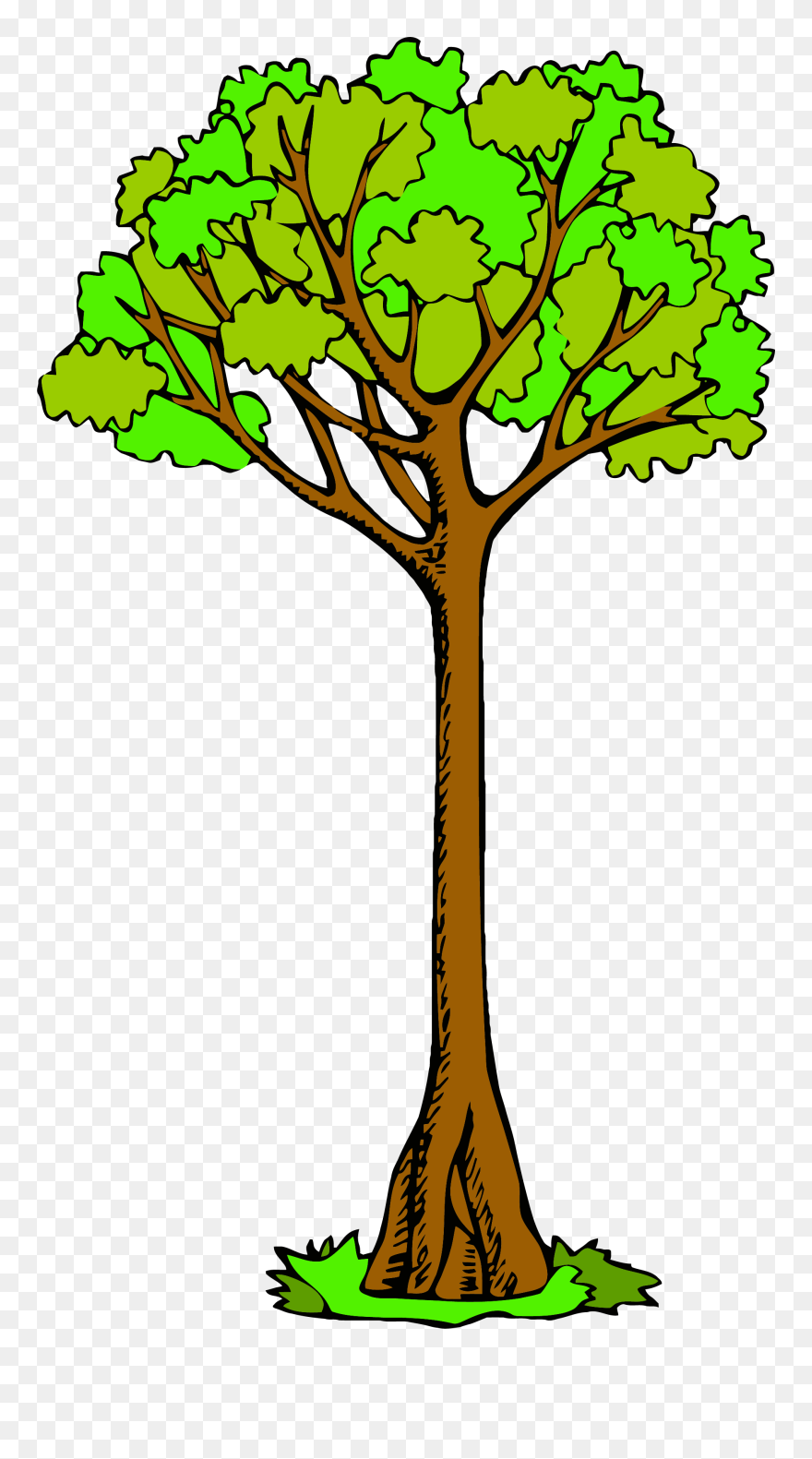 Retro Tree Clipart Clip Art Vintage Trees Clip Art - Stratification In A Forest - Png Download