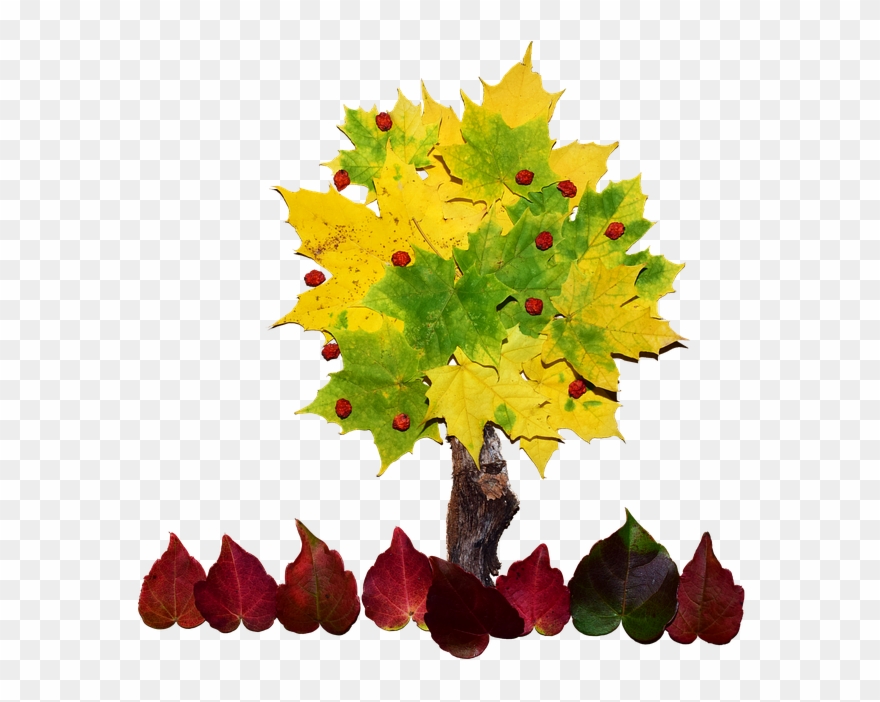 Cool Tree Cliparts 12, Buy Clip Art - Collage De Arbol - Png Download