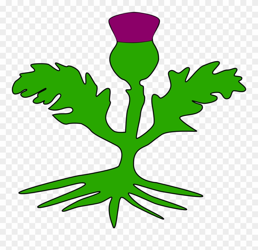 Tree With Roots Clipart 20, Buy Clip Art - Chardon Dessin Facile - Png Download