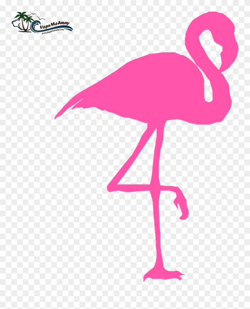 Pink Flamingo - Cliparts - Co - Clipart Flamingo Png Transparent Png