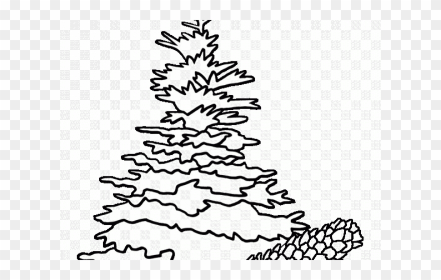 Drawn Pine Tree Black Hills Spruce - Spruce Tree Clip Art - Png Download