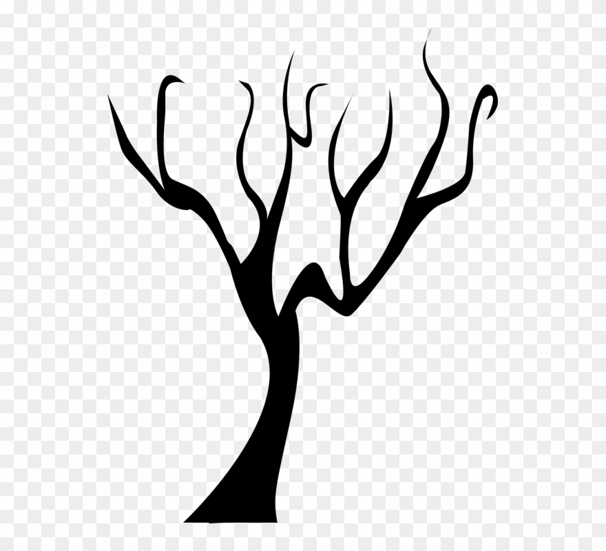 Tree Outline 17, Buy Clip Art - Ramas De Arboles Negro - Png Download