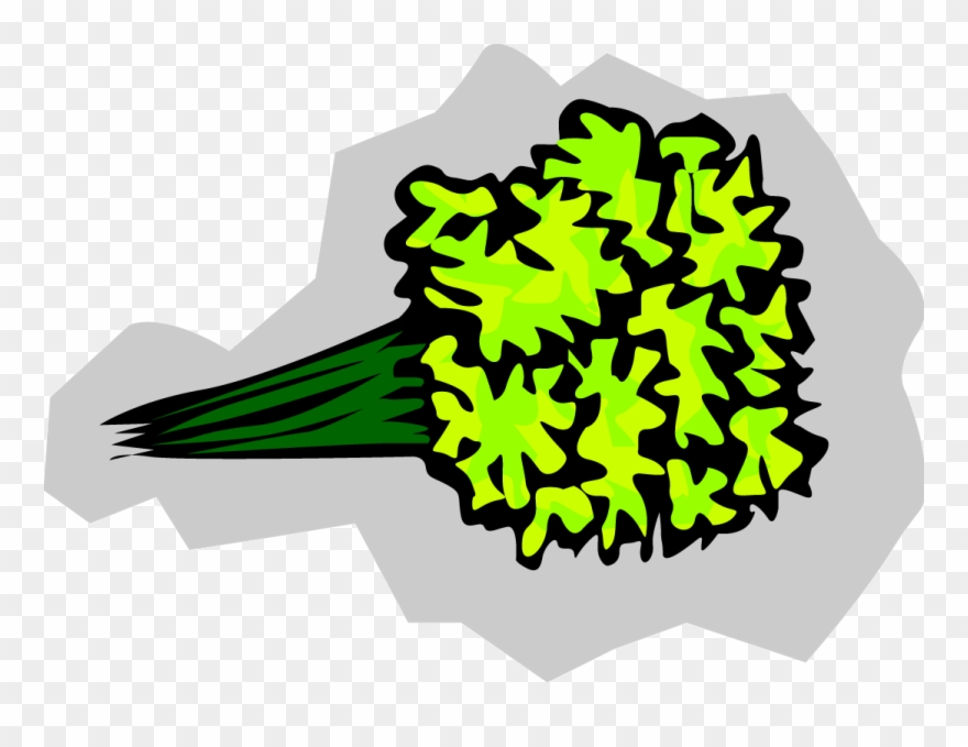 Broccoli - Vegetable Leaf Green Clipart - Png Download