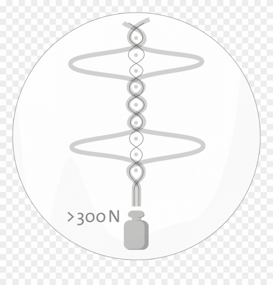 1 - Fabric - - Essential Oils Yoga Clipart