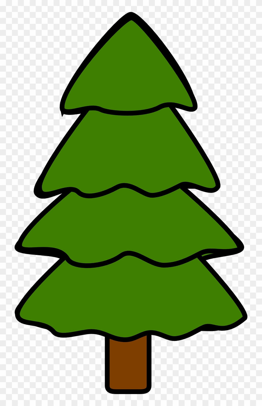 Pine Tree Clipart 12, Buy Clip Art - Fir Tree Clipart - Png Download