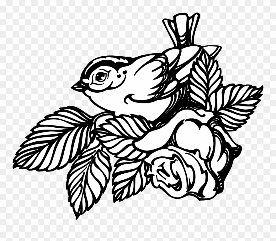 Flower Rose Bird Wings Leaves Png Image - Bird And Rose Drawing Clipart