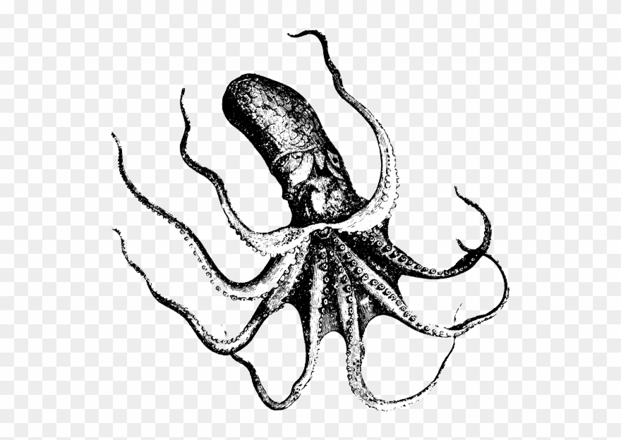 Sea Of Shoes - Thimble Island American Ale Clipart