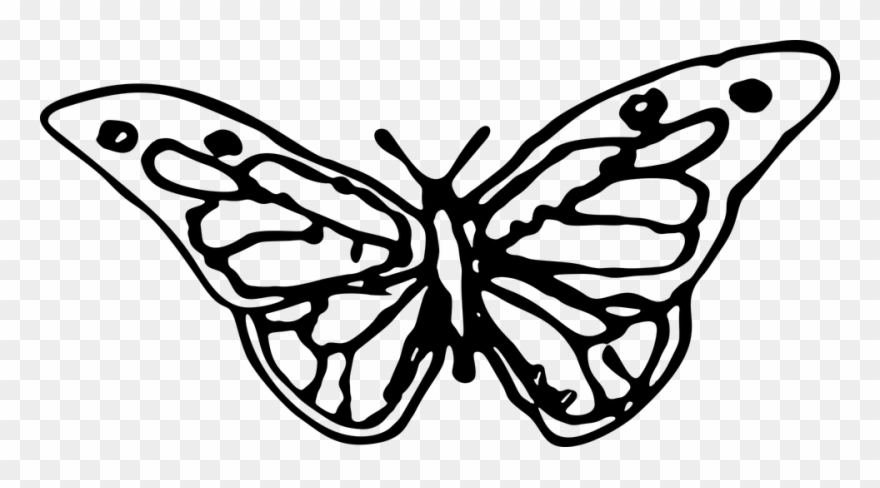 Cute Butterfly Line Drawing 15, Buy Clip Art - Butterfly Hand Drawn Clipart - Png Download
