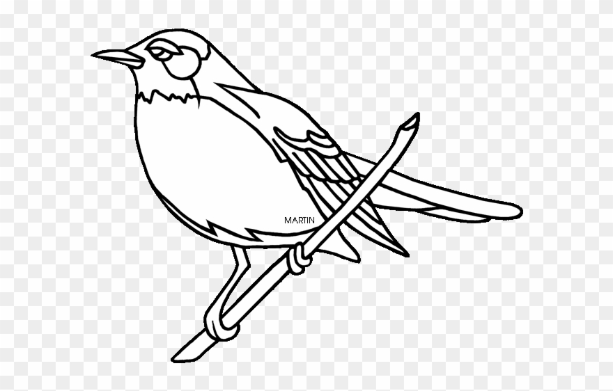 Download American Robin Clipart - Michigan State Bird Drawing - Png Download