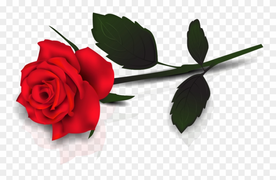 Rose Clipart Hd - Rose Clipart - Png Download