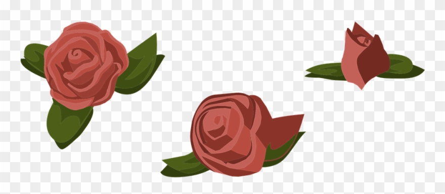 Rose Cartoon 22, Buy Clip Art - Garden Roses - Png Download