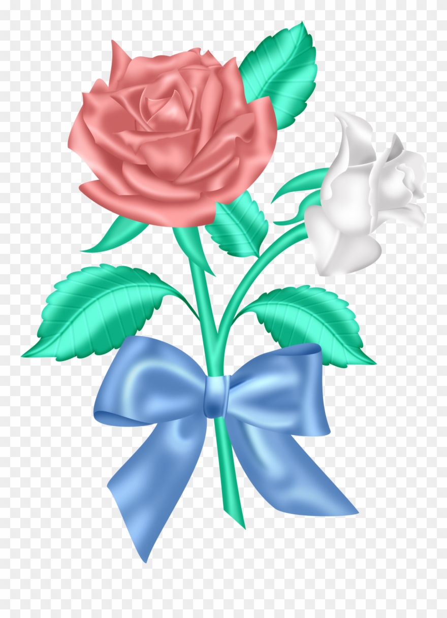 ดอก กุหลาบ สี แดง สวย ๆ Clipart