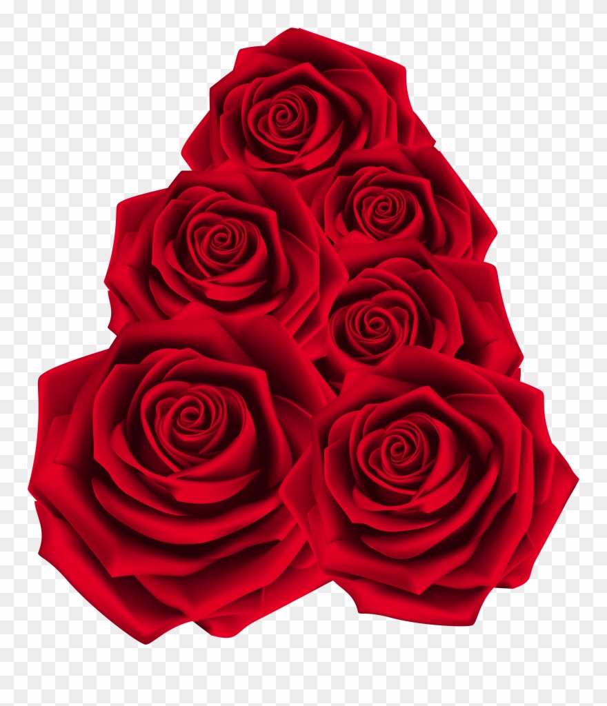 Flower Rose Png Clipart