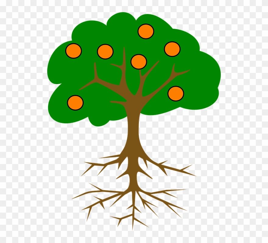 Collection Of Cartoon Orange Tree - Tree Drawing With Fruits Clipart