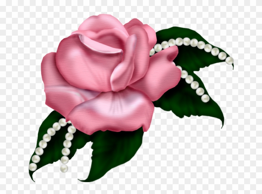 Skrot S T Rose Garden Diskussion Om - Haben Sie Einer Die Rote Rosen-blüte Schöner Karte Clipart