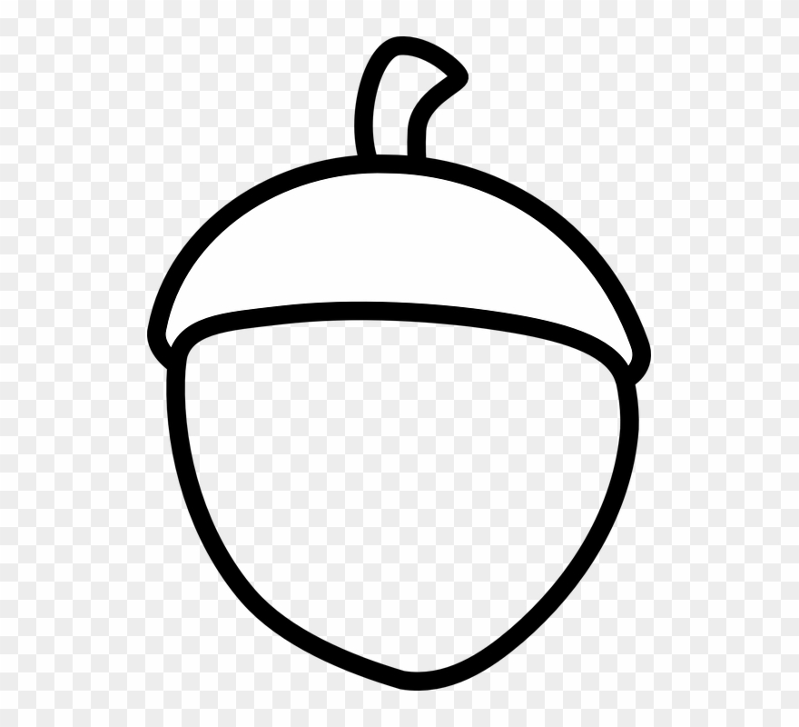 Acorn Clipart Black And White - Png Download