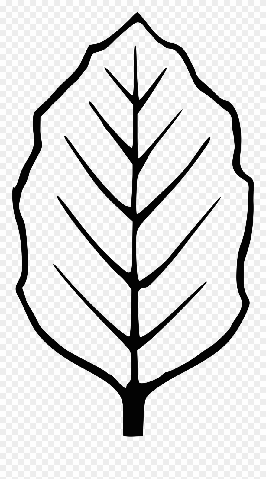 Leaves Outline Clipart