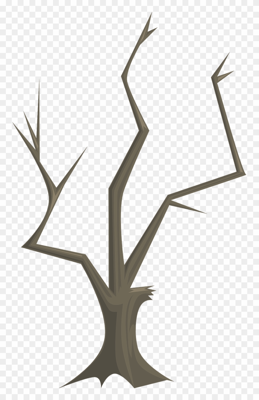 Tree Branches Nature Branch Png Image - ป่า ไม้ Png Clipart
