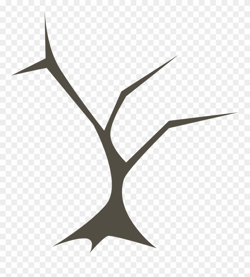 Tree Branches Nature Branch Png Image - Portable Network Graphics Clipart