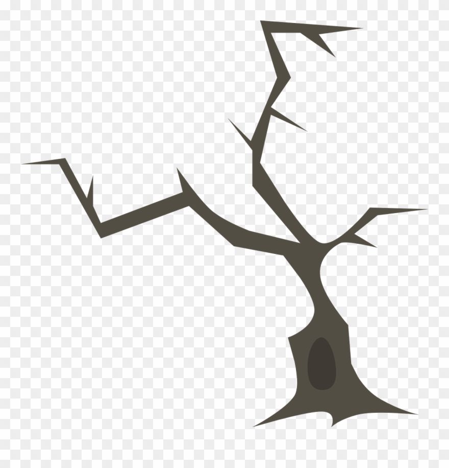 Tree Branches Nature Branch Png Image - Three Branch Vector Png Clipart