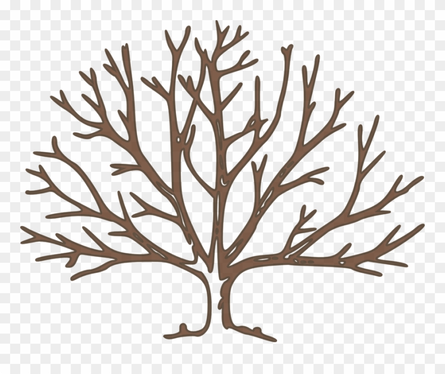 Tree, Bare, Winter, Branches, High - Draw A Winter Tree Clipart
