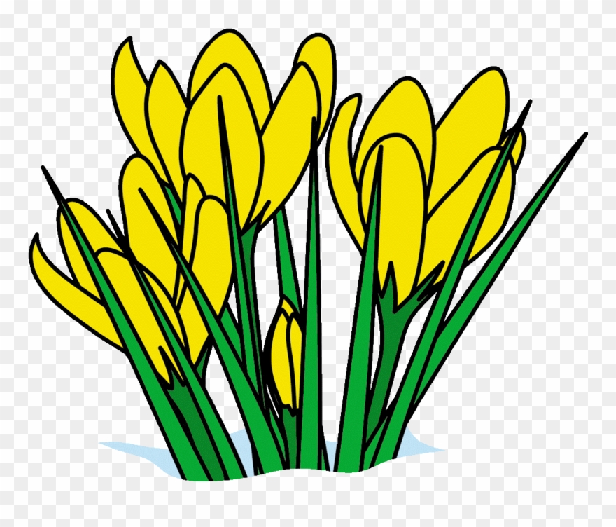 Spring Clip Art Pg 1 Disney Spring Break Clip Art Free Flower Clip