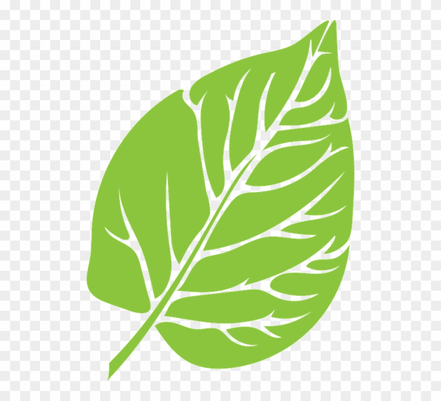 Palm Sunday Clip Art Palm Sunday Clipart 5187533 Shop - Grønt Blad - Png Download