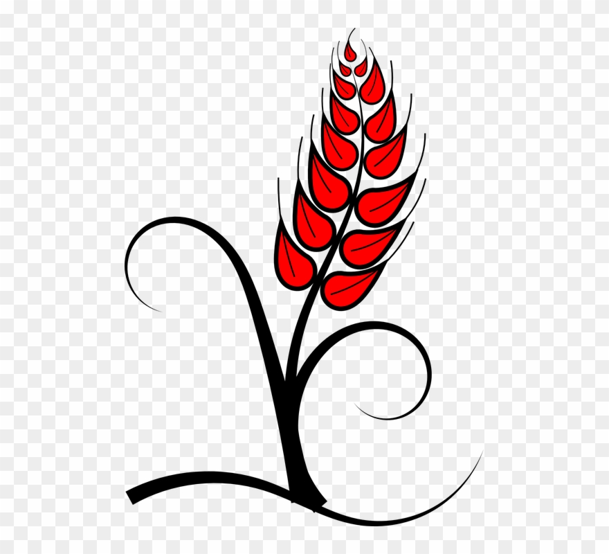 Corn Stalk Clipart 11, Buy Clip Art - Vetor Pao E Vinho - Png Download