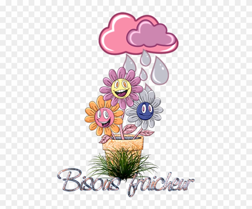 Image - Photography Clipart