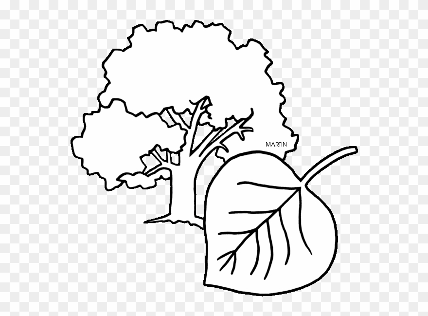 Tree Clipart Clipart Cottonwood Tree - Alabama - Png Download