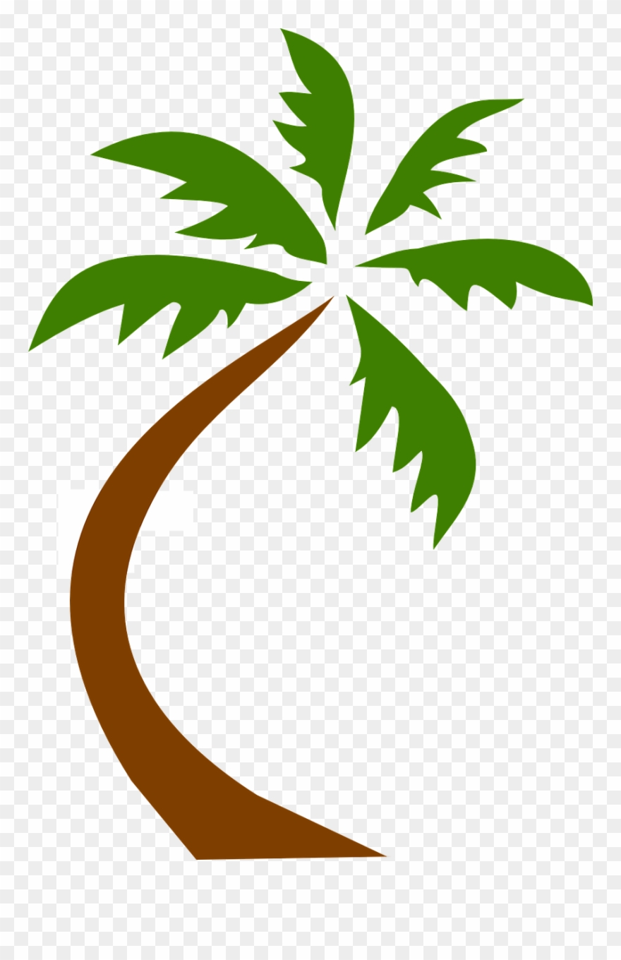 Tree Vector Image 9, Buy Clip Art - Palm Tree Clip Art Png Transparent Png