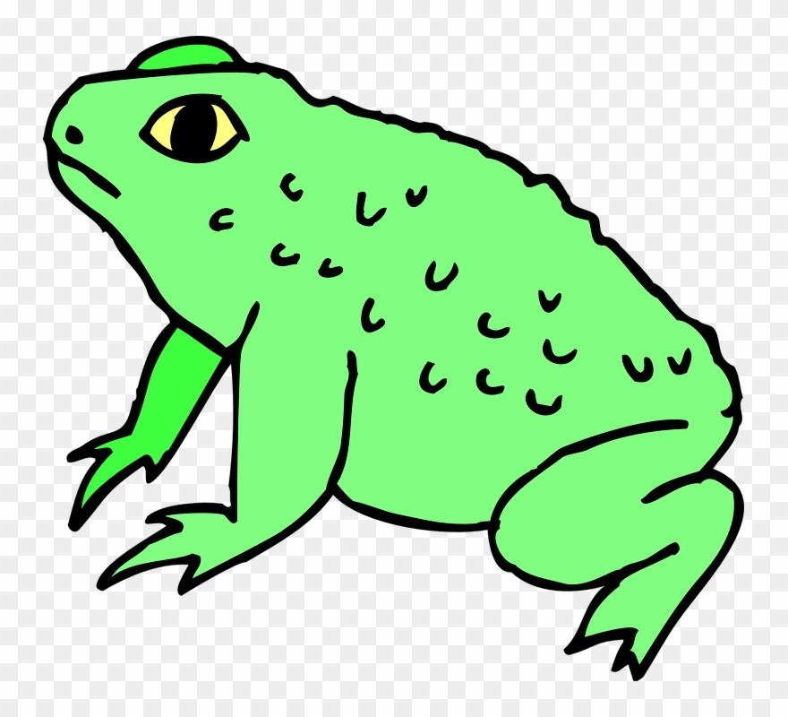 Toad Clipart - Png Download