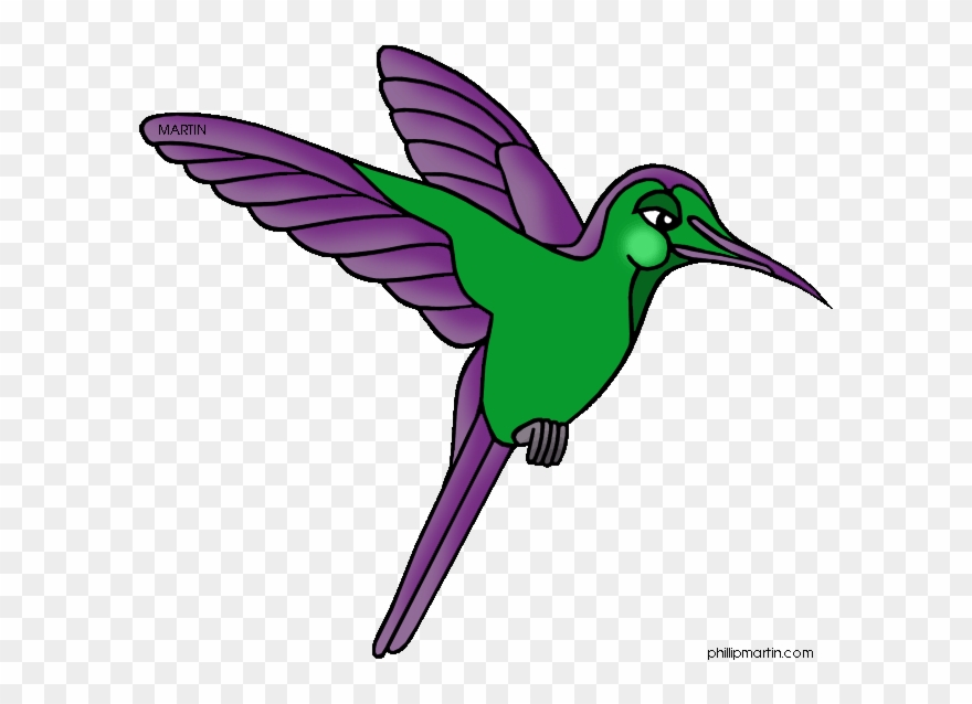 Tree Frog Clipart Rainforest Bird - Amazon Rainforest Animals Transparent - Png Download