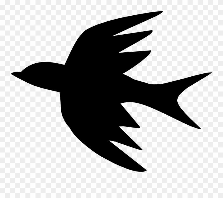 Bird Outline Drawing 4, Buy Clip Art - Contorno De Un Ave - Png Download