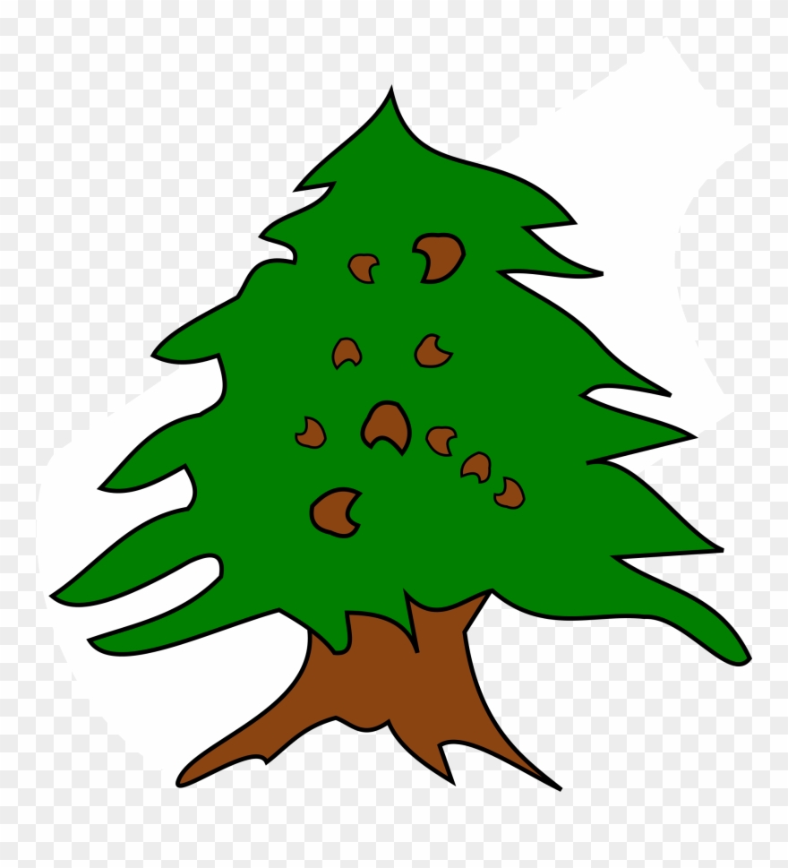 Dessin D Un Cedre Clipart