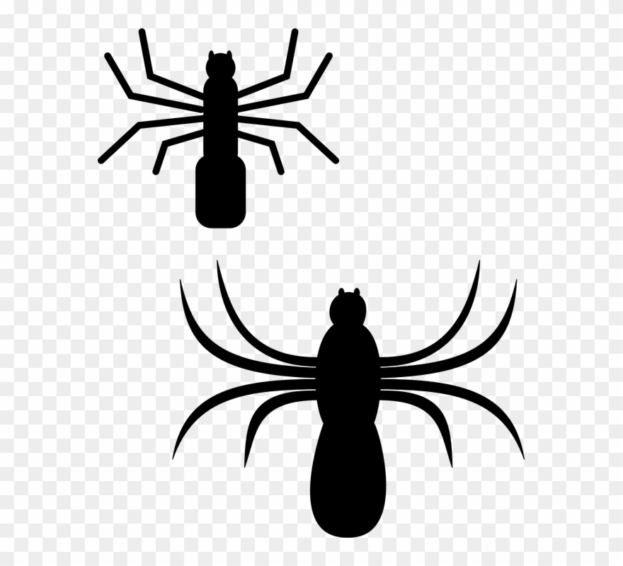 Creepy Tree Cliparts 24, Buy Clip Art - Spiders Clip Art - Png Download