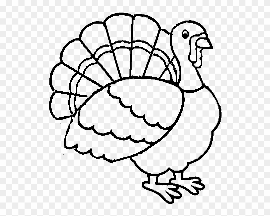Best Turkey Printable Coloring Pages For Kids Boys - Thanksgiving Coloring Pages Clipart
