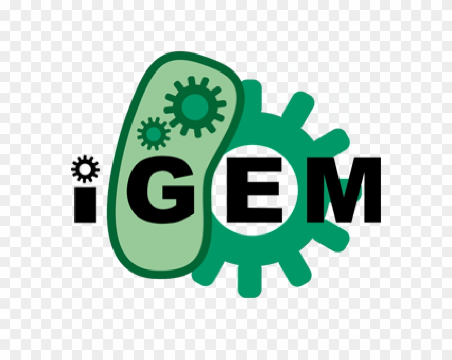 Working With Igem Teams - International Genetically Engineered Machine Clipart