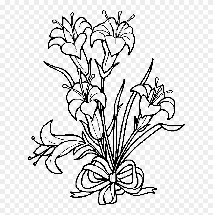 Lily Clipart Black And White - Easter Lily Coloring Pages - Png Download
