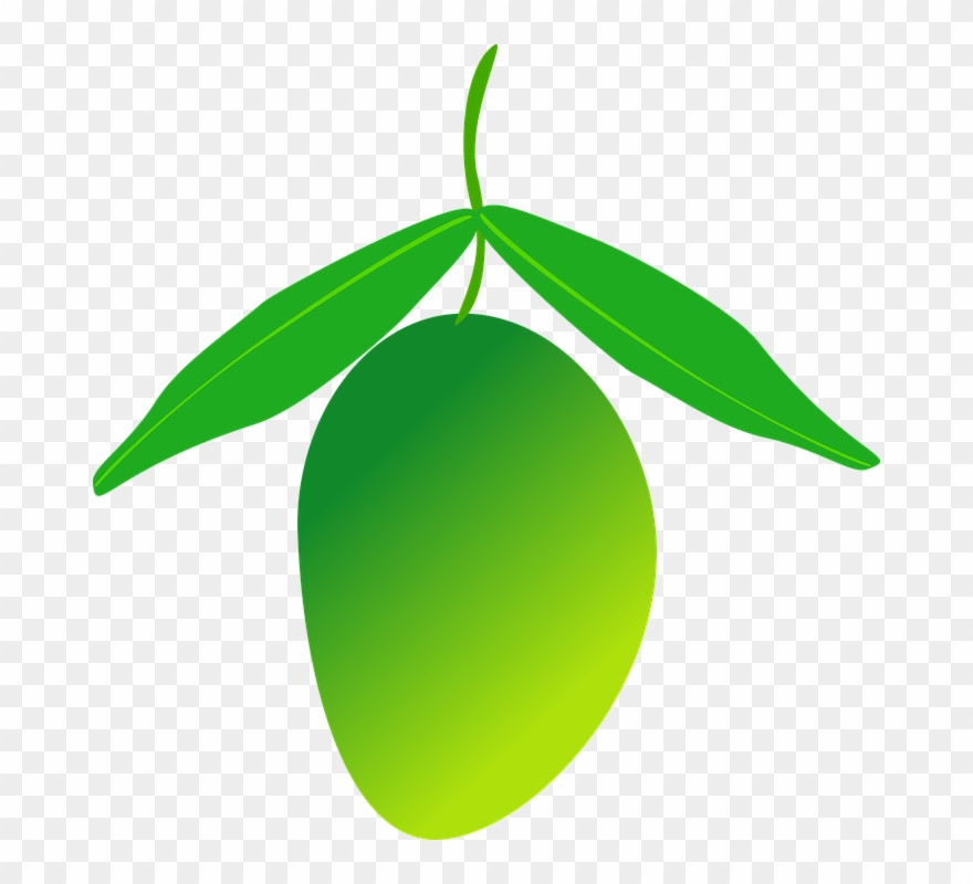 Mango Png 17, Buy Clip Art - มะม่วง Clipart Transparent Png